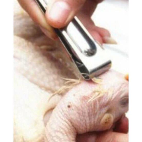 Nhip nhổ lông gà vịt 2 đầu tiện ích