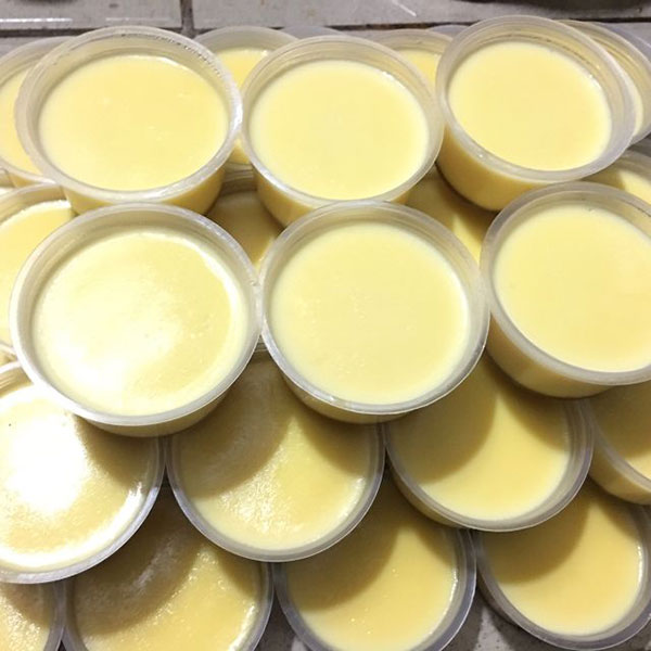 Combo 50 Khuôn Làm Bánh FLan, Rau Câu, Làm Nước Đá Dùng Được Lò Vi Sóng