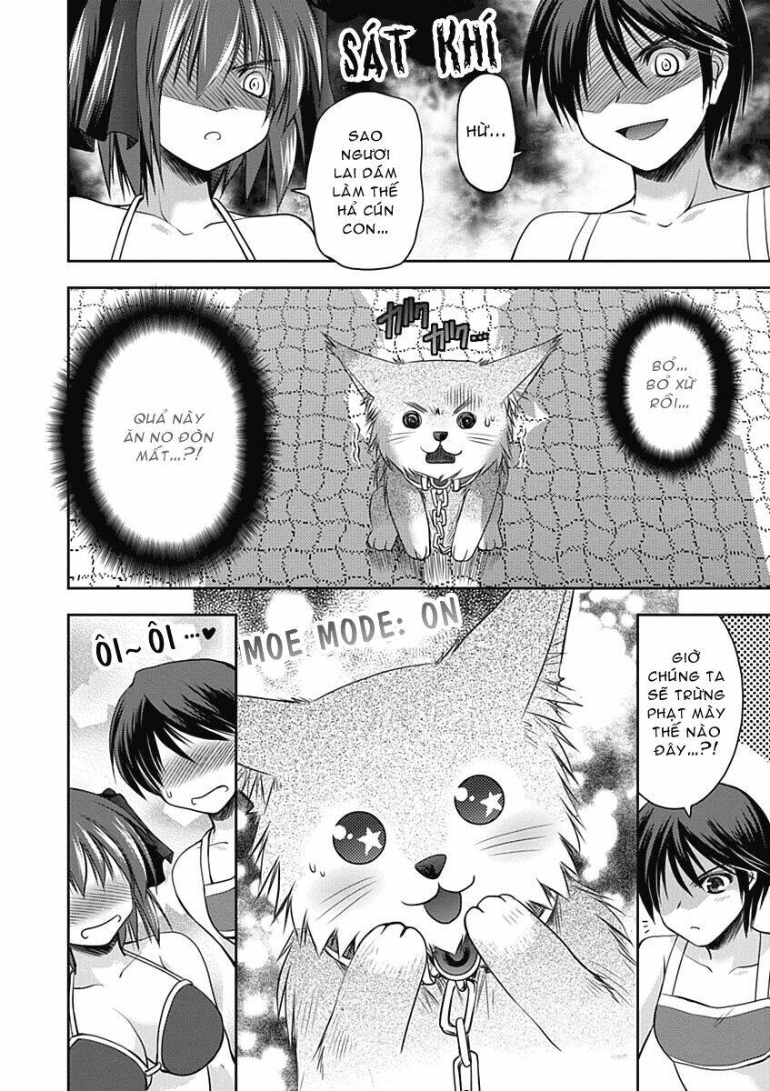 perowan! - hayaku shinasai! goshujin-sama chapter 10 3