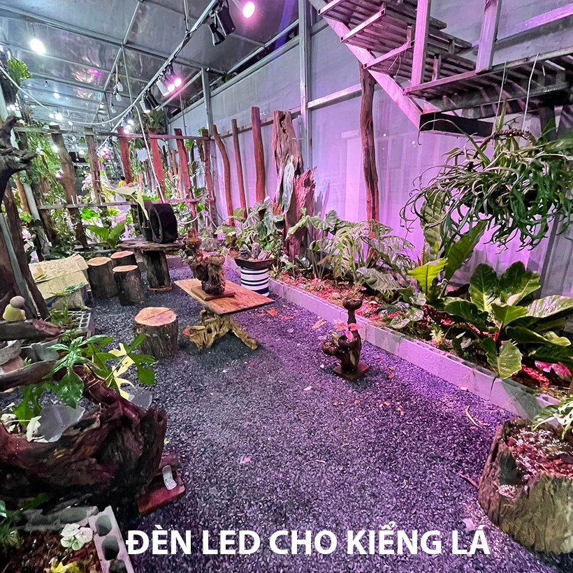 Đèn Trồng Cây Trong Nhà - Đèn Nông Nghiệp 45W tạo ánh sáng &quot;giả lập mặt trời&quot; giúp cây trong nhà phát triển nhanh, hạn chế sâu bệnh và trang trí cảnh quan