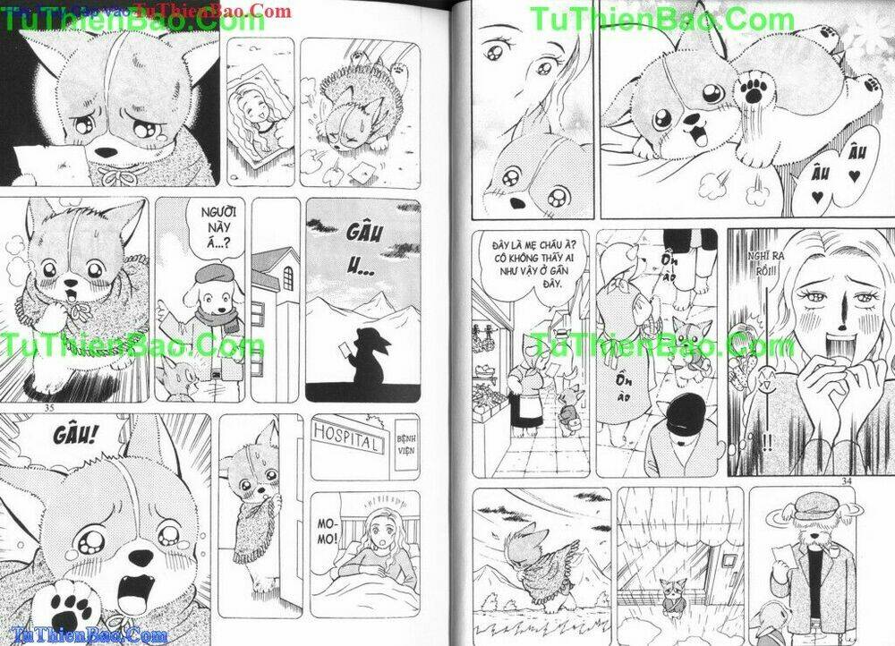 chó con mo mo chapter 6 18