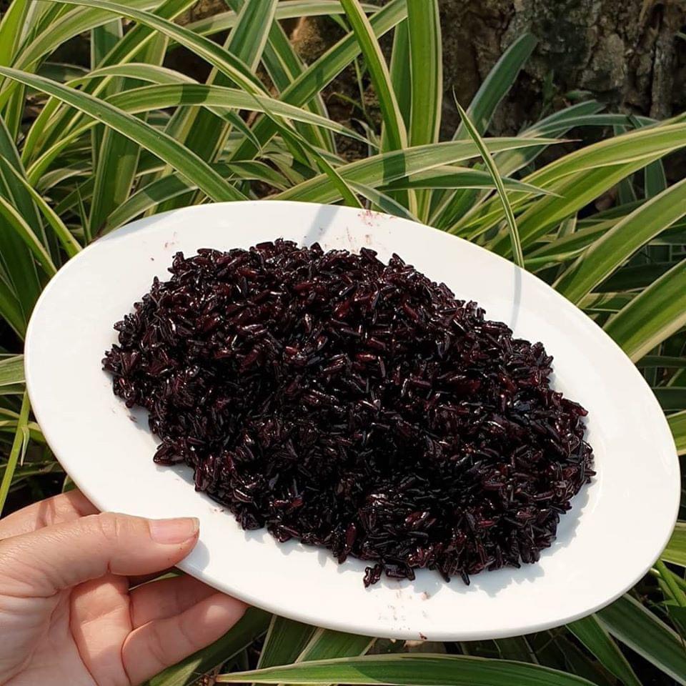 [Chính hãng] Gạo Lứt Đen Phúc Thọ - Vinaseed (1kg)