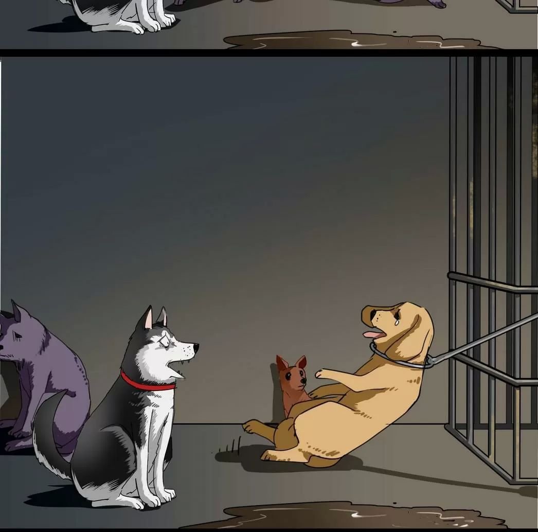 một con chó chapter 58 5