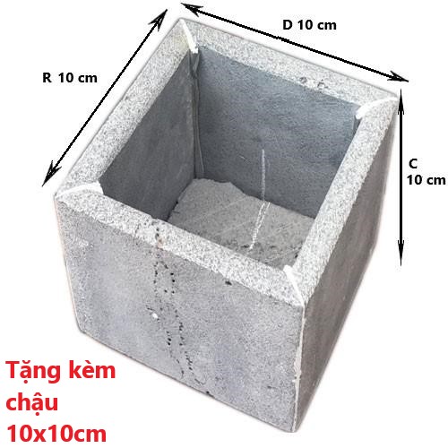 Ưu đãi duy nhất trong tháng khi mua 2 chậu đá handmade được tặng kèm chậu xinh xắn