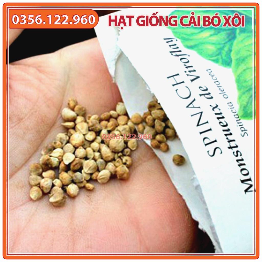 Hạt giống cải bó xôi chịu nhiệt - gói 20g - Rau chân vịt dễ trồng, năng suất cao