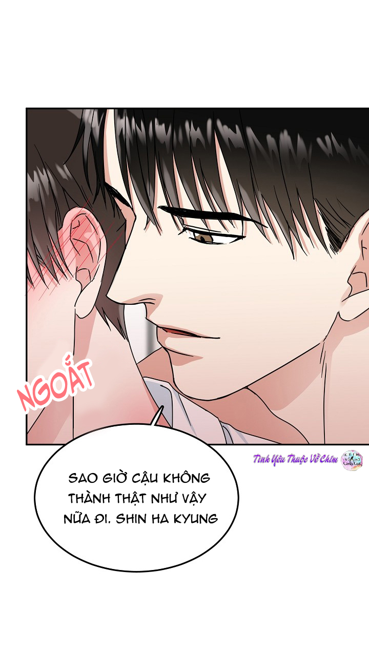 đối tác an toàn chapter 9 23