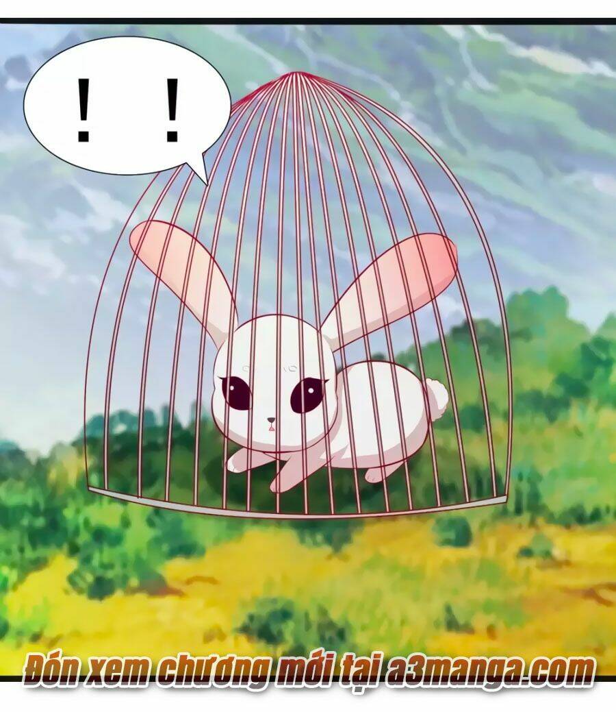 thỏ yêu tiểu vương phi chapter 54 20