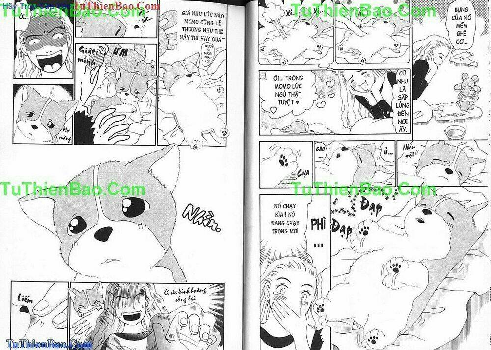 chó con mo mo chapter 1 19