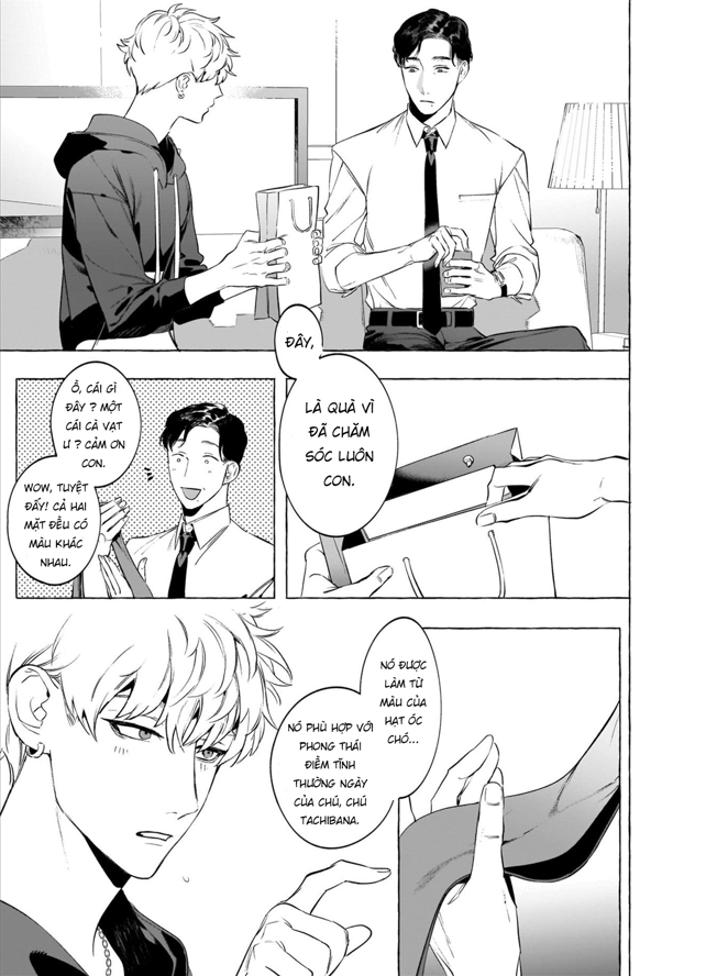 rượu, thuốc lá và những nụ hôn chapter 0 9