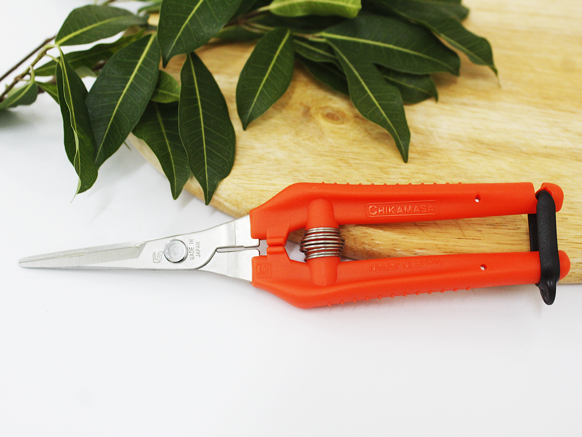 Kéo tỉa cành cao cấp Nhật Bản Chikamasa TP-530S