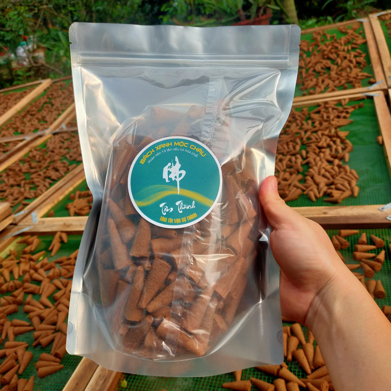 Nụ Hương Bách_Xanh_Nụ Ngọc_Am_Đậm Tinh Dầu_Cực Thơm, Khói Ngược_Cam Kết 100% Không Hóa Chất_Nụ Gỗ Bách_Xanh