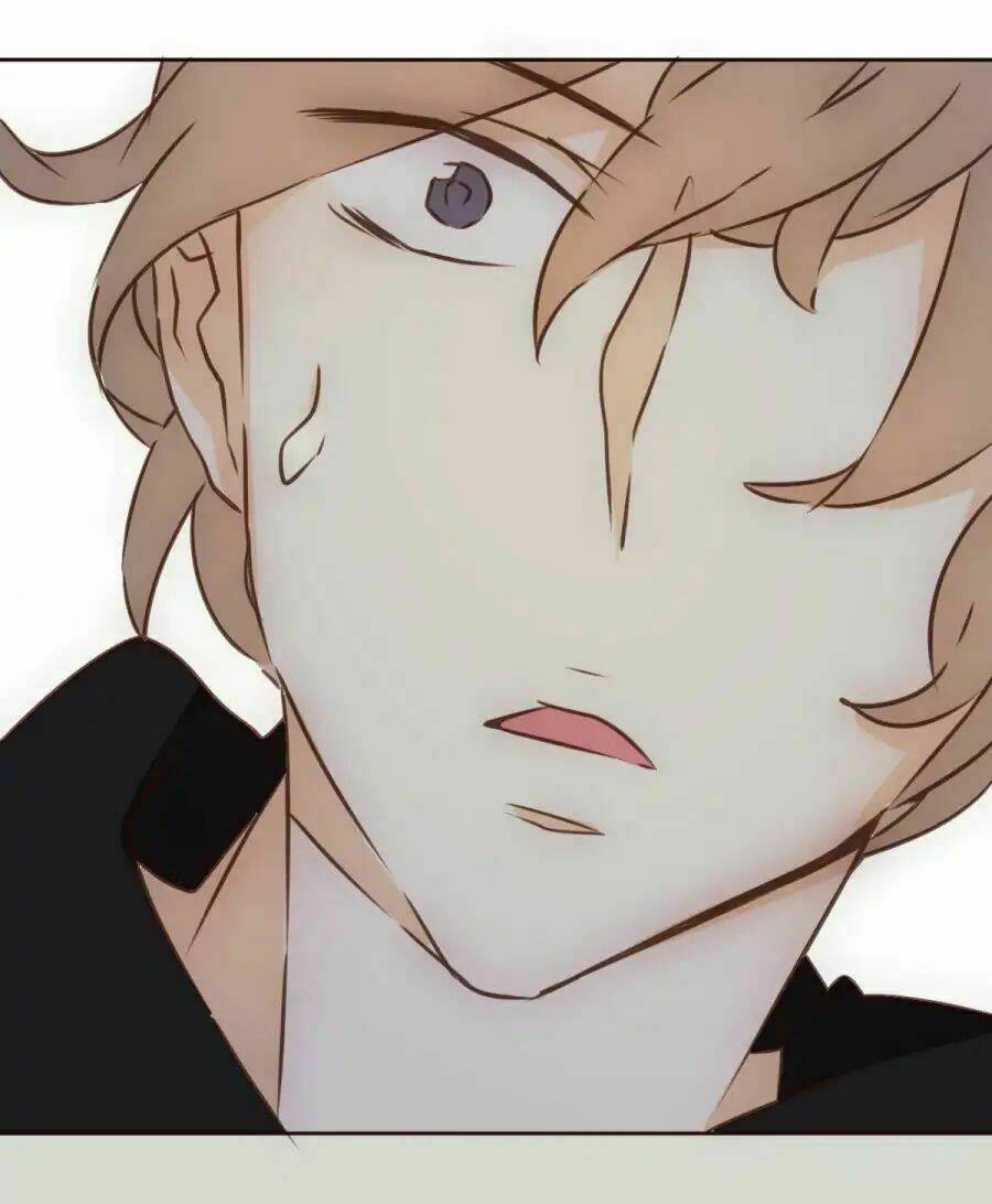 tai cá voi chapter 0 24