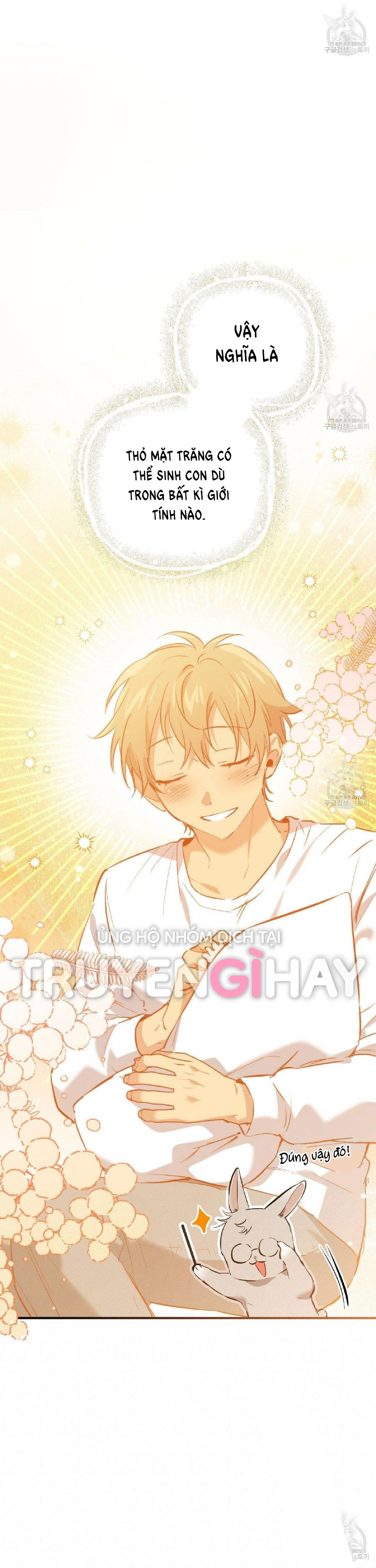 những chú thỏ của hapypy chapter 52.2 3