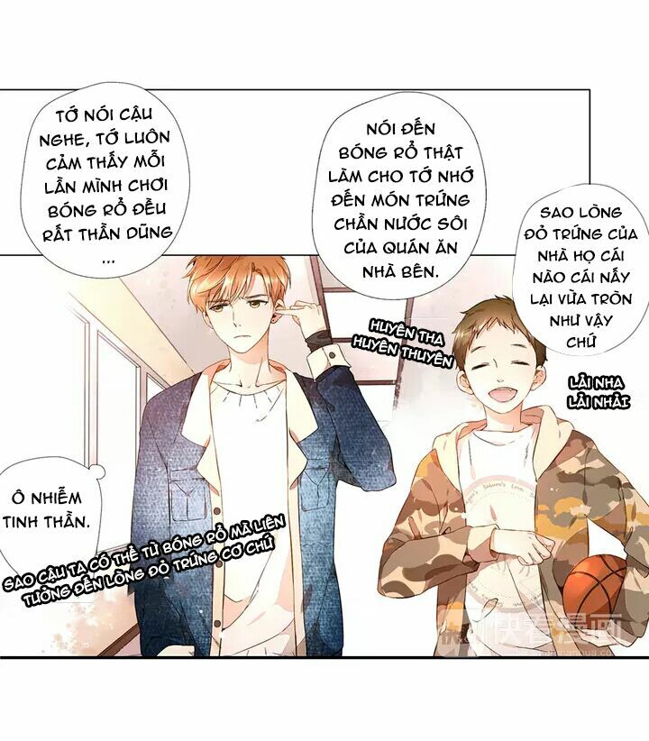 Tình yêu là màu hoa anh thảo chapter 16.1 20