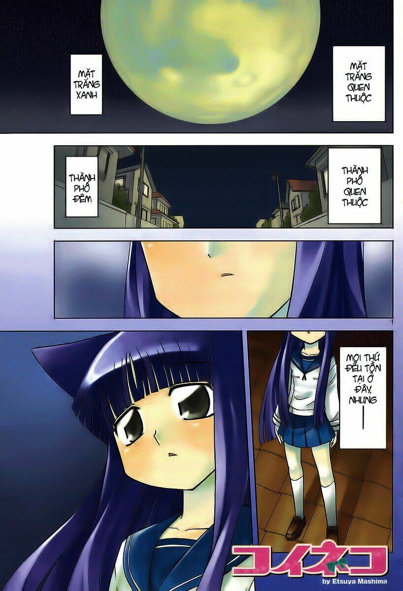 koi neko chapter 31 1