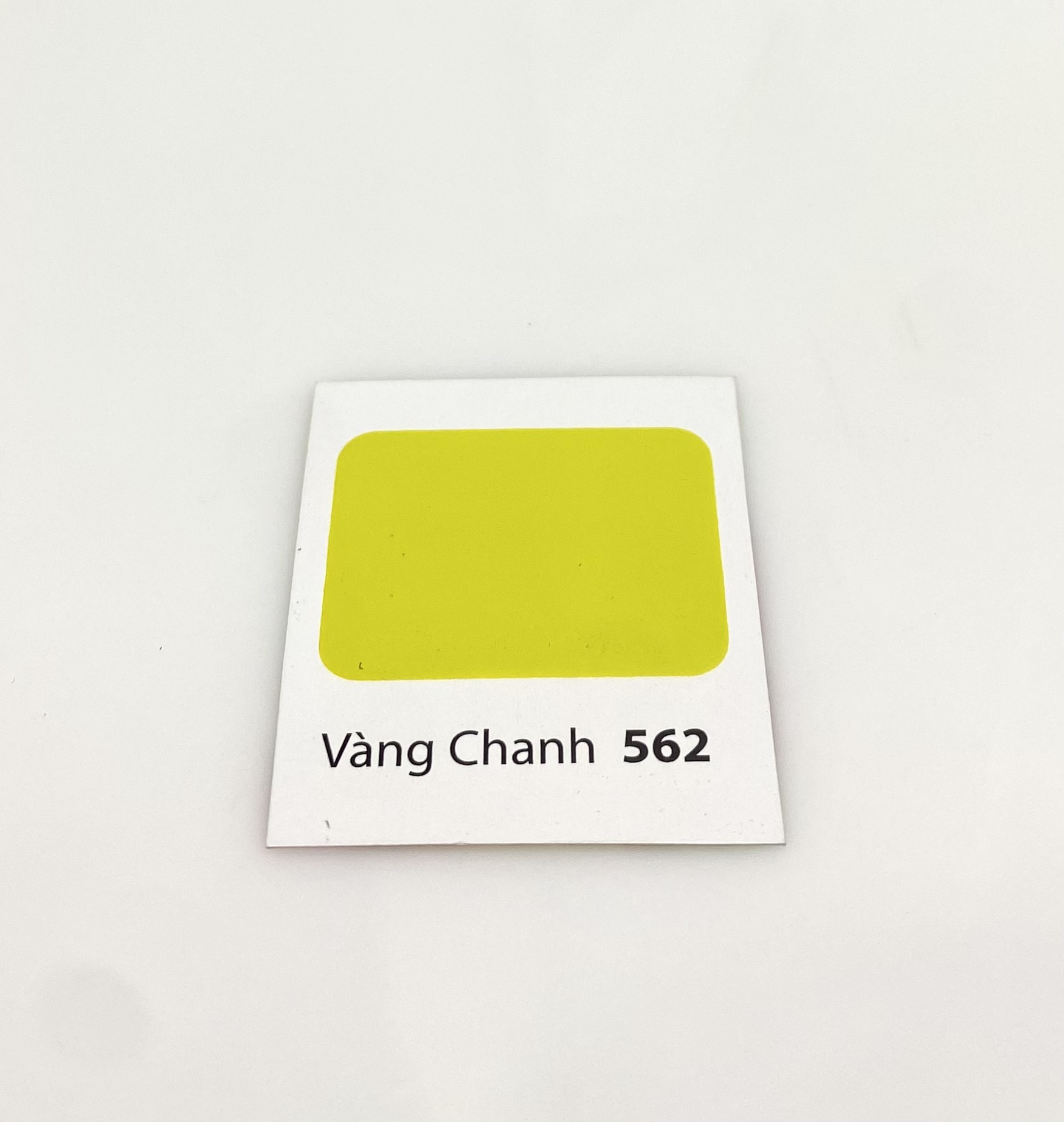 Sơn dầu Bạch Tuyết màu vàng chanh 562 3kg