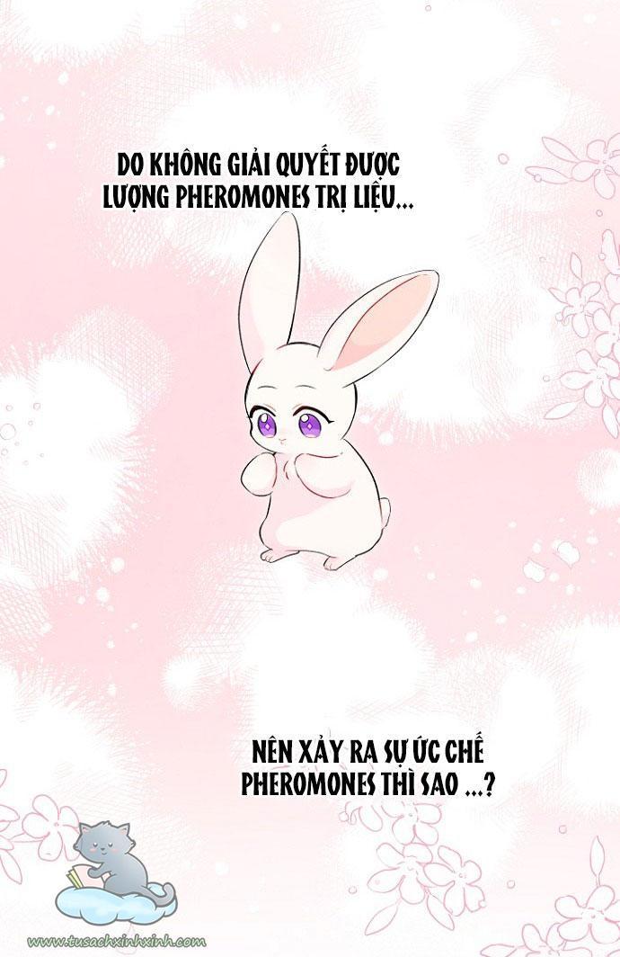 quan hệ cộng sinh giữa báo đen và thỏ trắng chapter 47 64