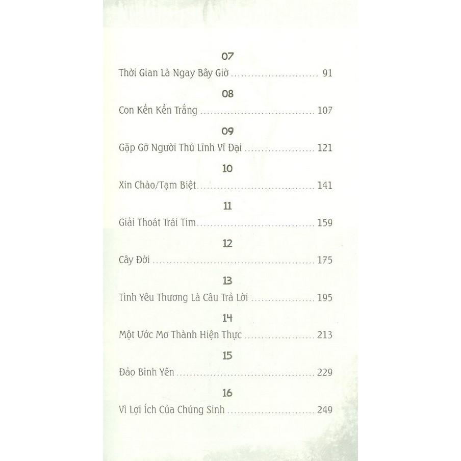 Mảnh Lực Trái Tim