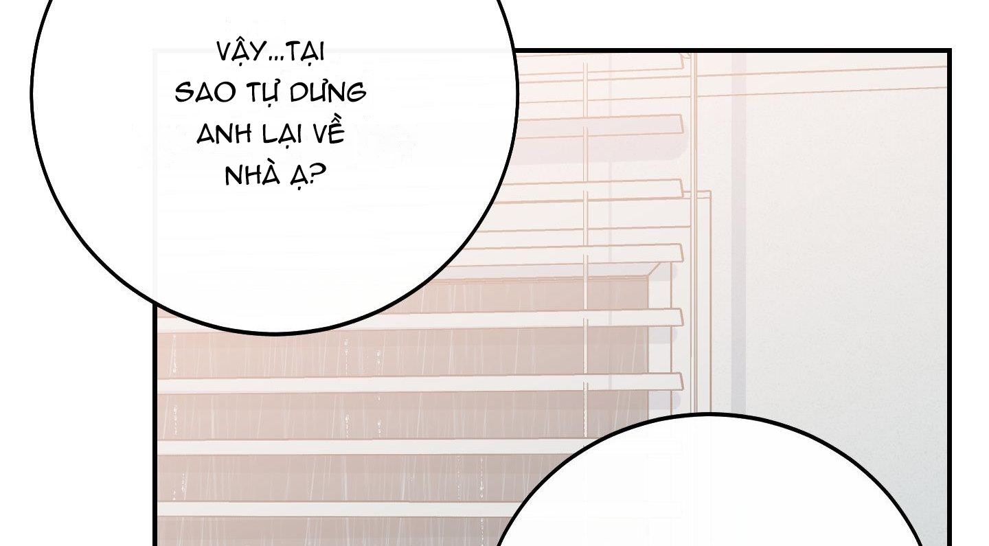 lãng mạn giả dối chapter 13 130