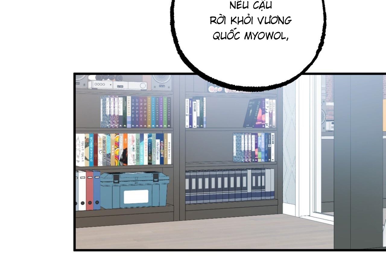 những chú thỏ của hapypy chapter 61 83