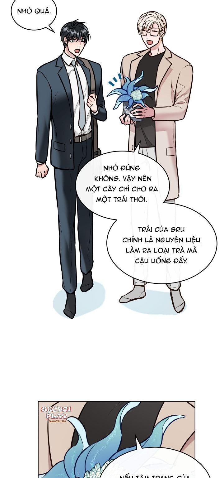 thực vật trị liệu chapter 1 32