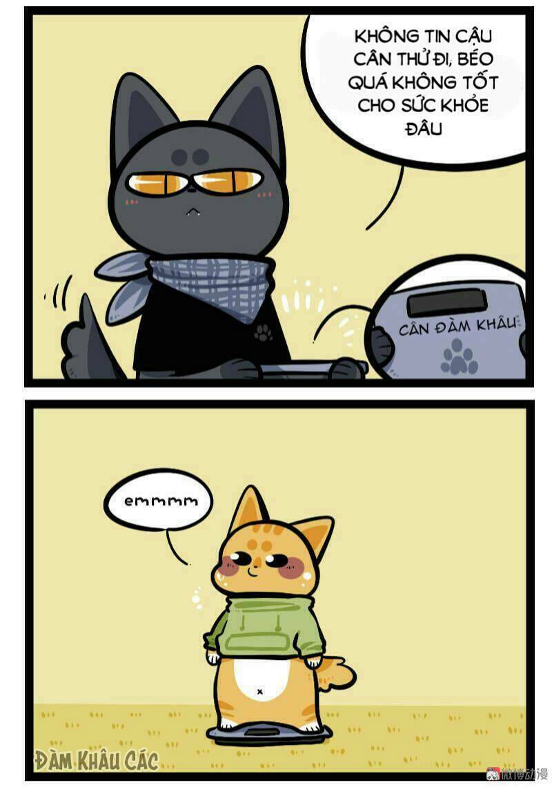 đời không như mình tưởng chapter 60 4