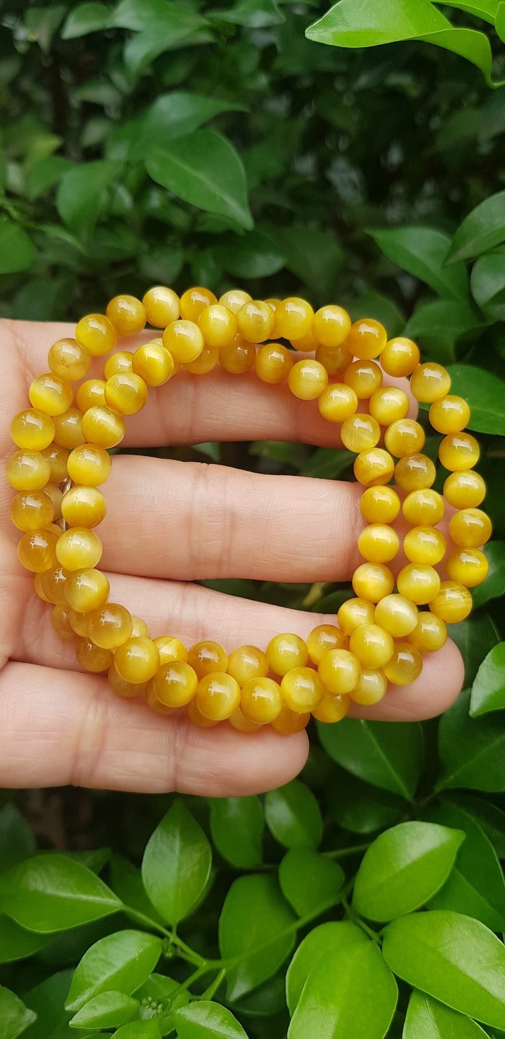 Vòng tay nữ đá mắt hổ tự nhiên vàng anh vip 6mm quấn tay 3 vòng đẹp vòng màu vàng anh tươi đẹp hợp nữ mệnh kim mệnh thổ mệnh thuỷ đeo tay may mắn xinh đẹp sang tay ạ
