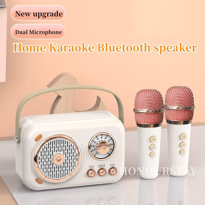 Loa bluetooth karaoke ngoài trời mini với loa siêu loãng micrô không dây Color: Dual Microphone