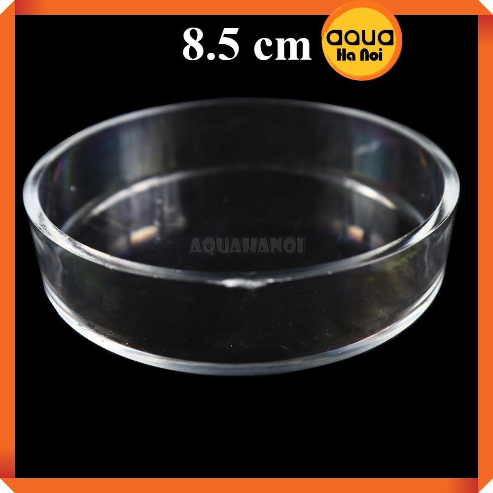 Chén đĩa thủy tinh, arylic đựng thức ăn cho cá tép thủy sinh