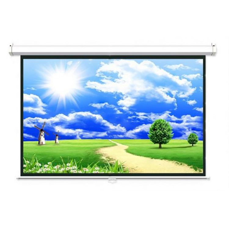 Màn Chiếu Điện Dalite 170 Inch - Hàng Chính Hãng