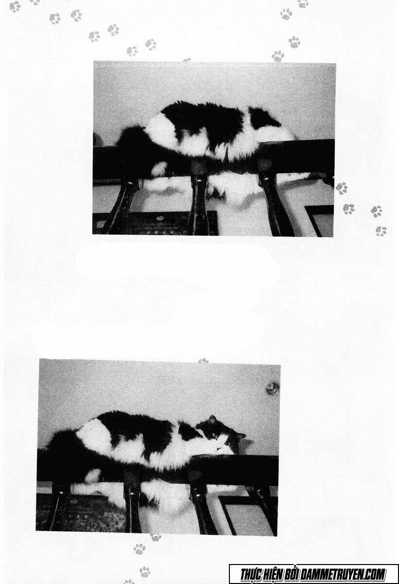 shin kotaro makaritoru! juudouhen chapter 42 20