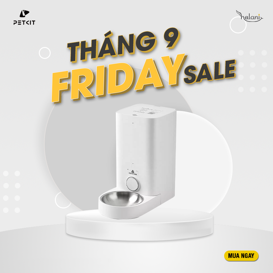 MÁY ĂN TỰ ĐỘNG - FEEDER MINI