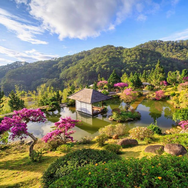 Tour Đà Lạt 3N3Đ: Vườn Hoa Cẩm Tú Cầu - Trại Cún Puppy - Đường Hầm Đất Sét - Que Garden, Khởi Hành Tối Thứ 5 Hàng Tuần