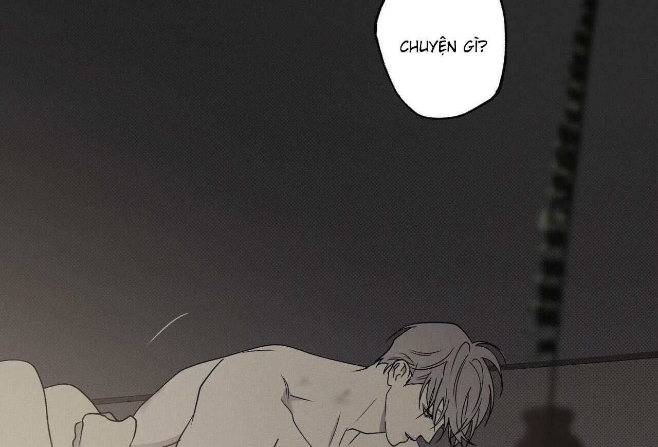 chàng giao pizza và gold palace chapter 47 79
