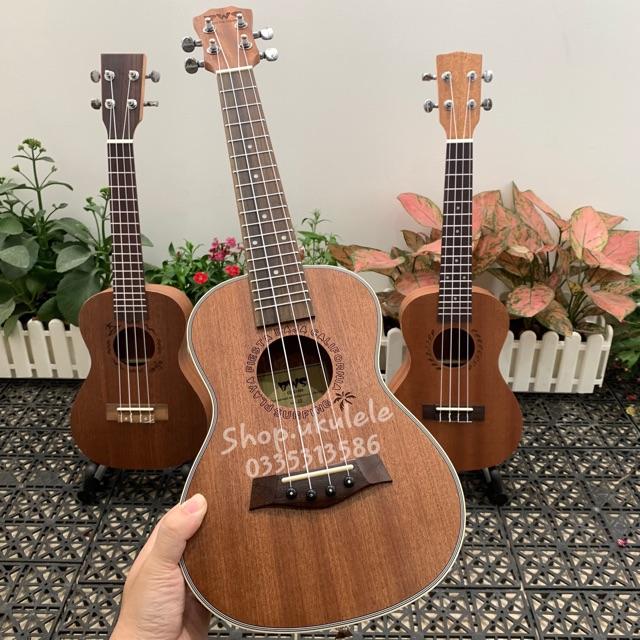 UKULELE CONCERT BWS