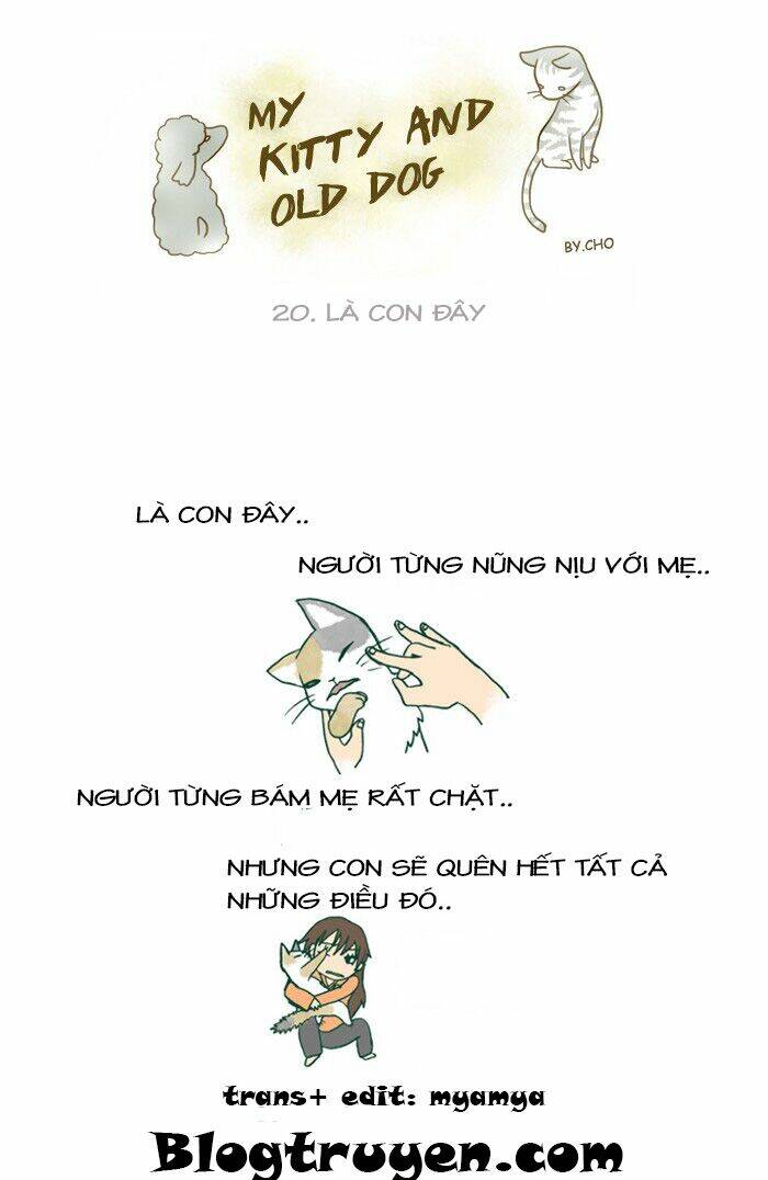 my kitty and old dog chapter 21 2