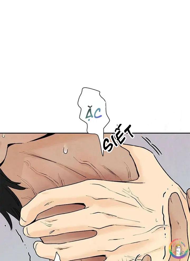 bona sort chapter 54 63