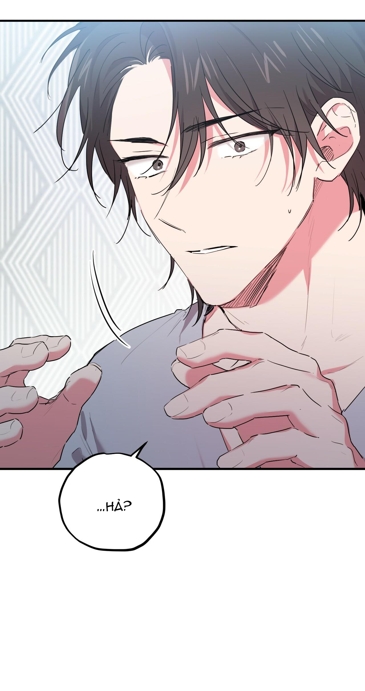 những chú thỏ của hapypy chapter 16 5