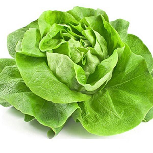 Gói 10 Gram Hạt Giống Xà Lách Xoăn Xanh + Mỡ Chịu nhiệt tốt kháng bệnh cao