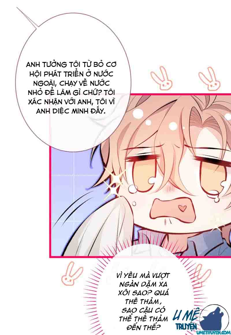 lại bị nam thần chọc trên hot search! chapter 24 20