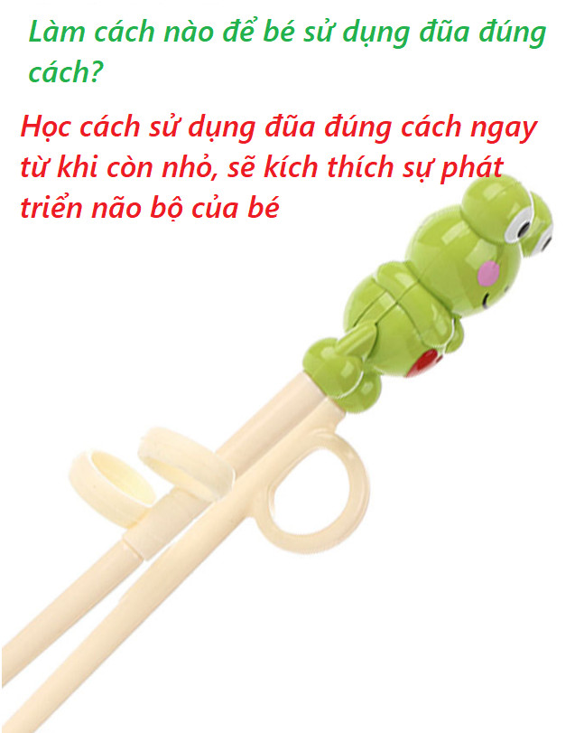 Đũa Tập Ăn Thương Hiệu FALDO