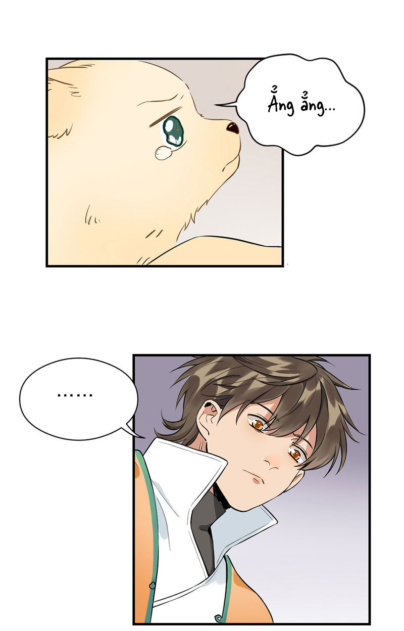 lục châu ca đầu chapter 4 40