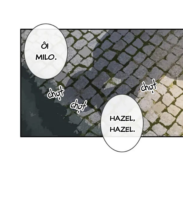 điều ước tuyệt vời!!!! chapter 21 22