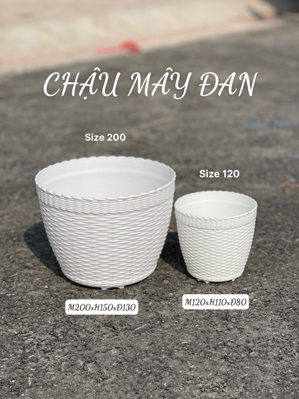 Chậu nhựa mây đan trắng size 200