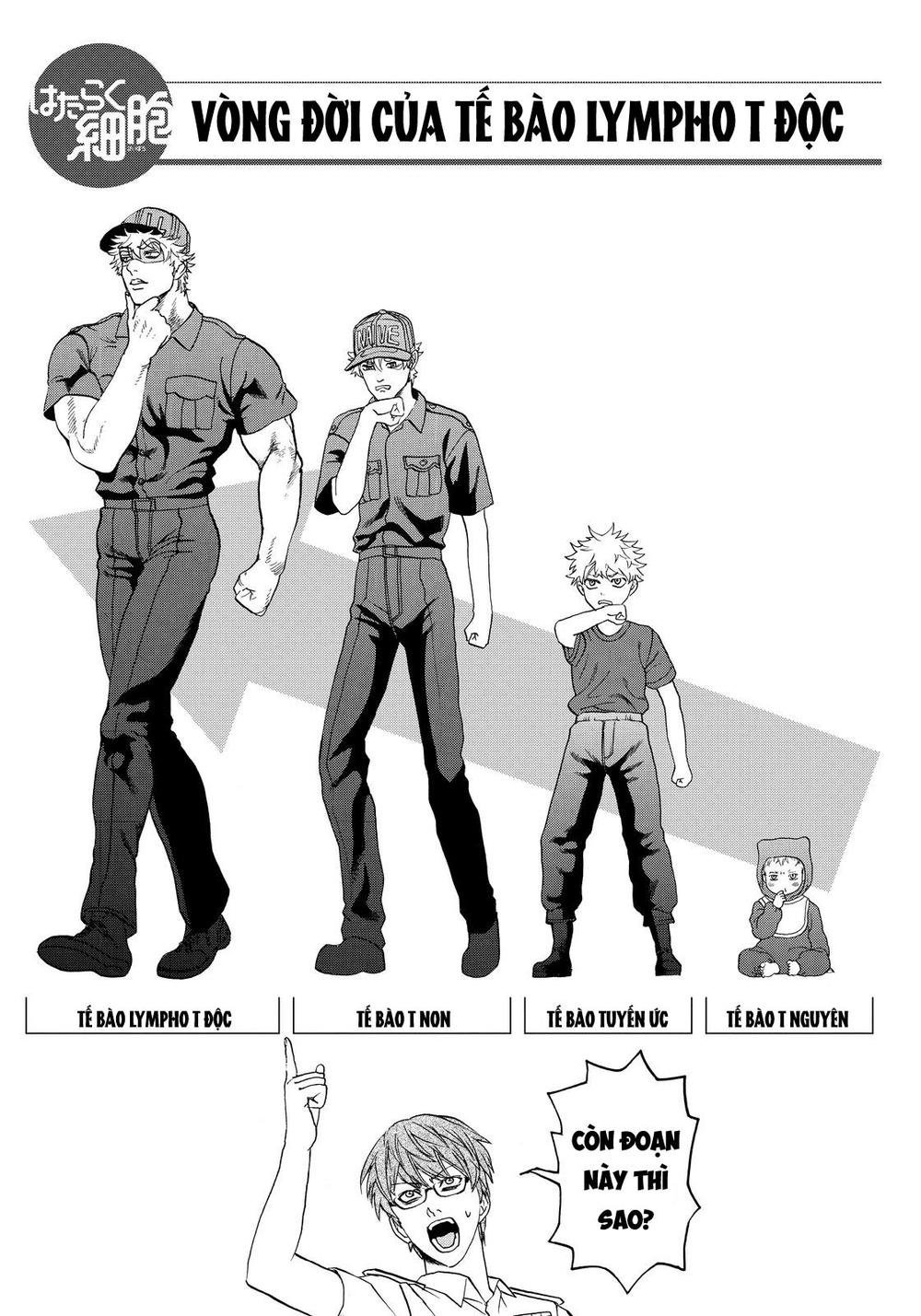 hataraku saibou! chapter 12 35