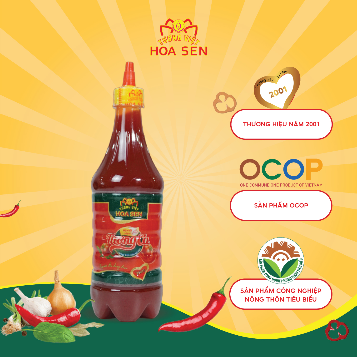 THÙNG 12 Chai Tương Cà 700gr – Tương Việt Hoa Sen