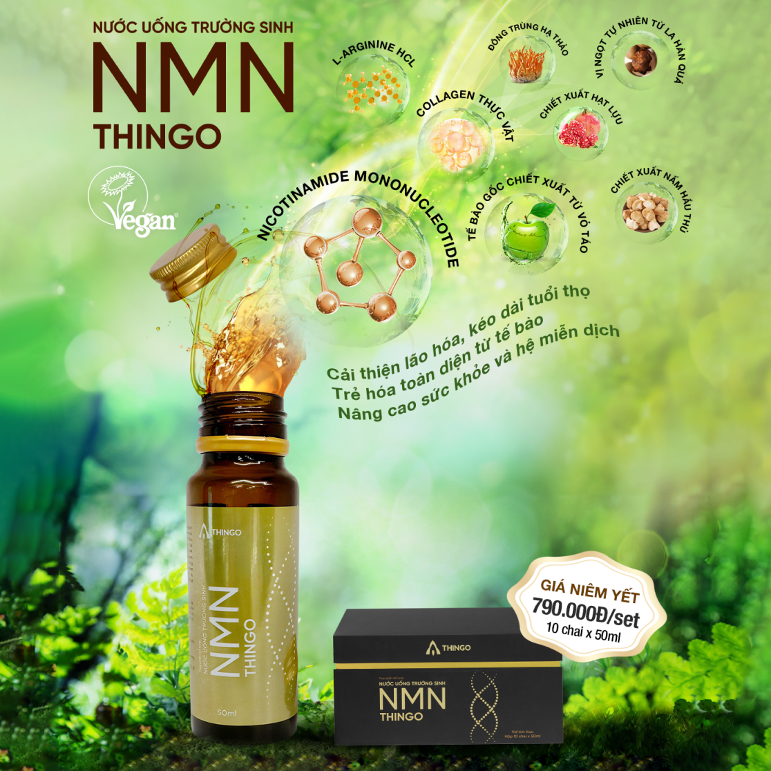 Combo 9 Hộp Nước Uống NMN Thingo - Cải Thiện Lão Hóa, Kéo Dài Tuổi Thọ