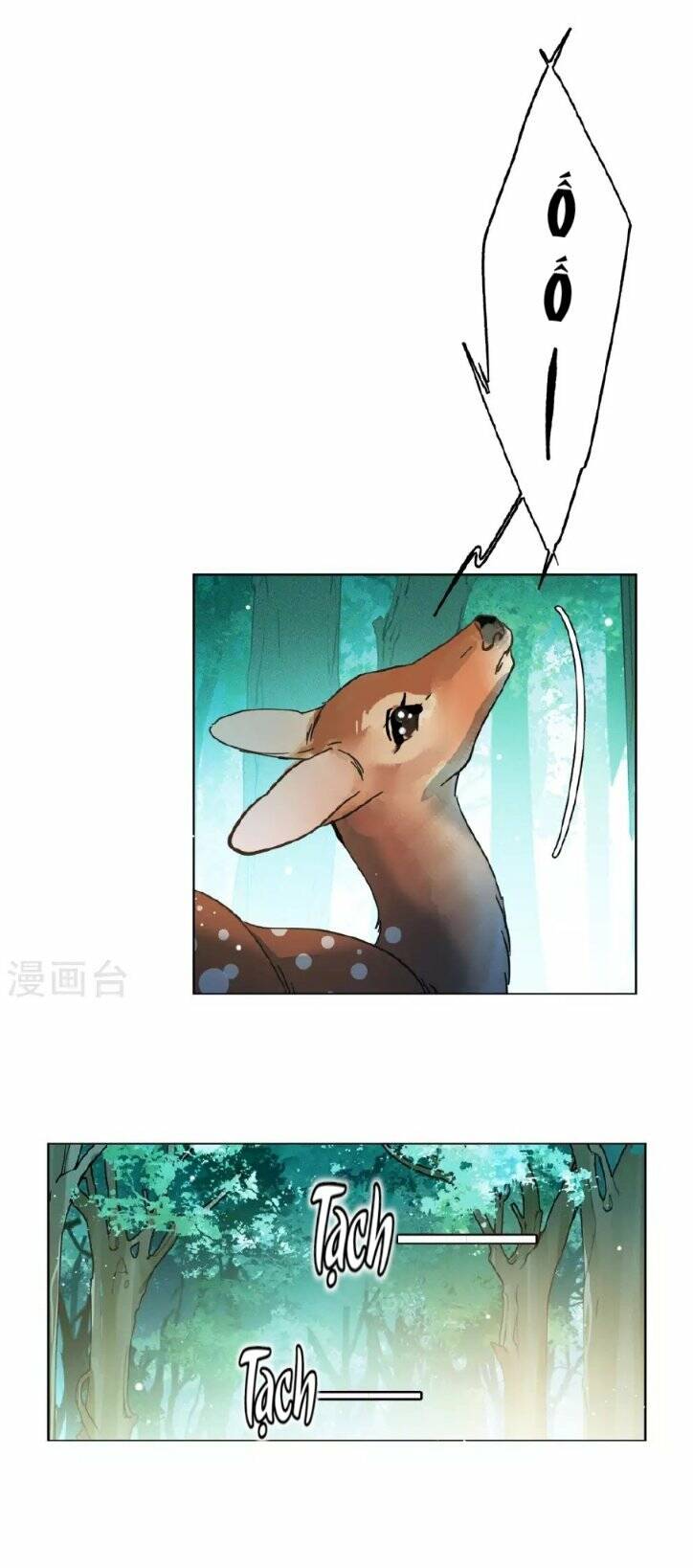 cô ấy đến rồi, xin nằm xuống! chapter 117 13