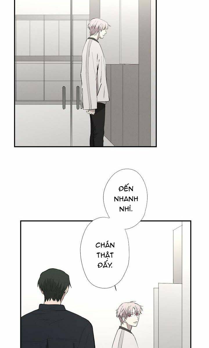 trốn tìm chapter 16 6