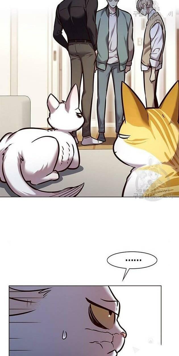 biến thân thành mèo chapter 228 4